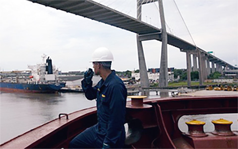 COVID-19 Working Group